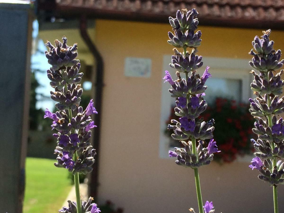 Gasthaus Liliana Apartman Balatonberény Exterior foto